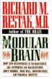 The Modular Brain