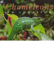 Chameleons, on Location