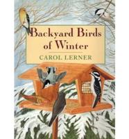 Backyard Birds of Winter