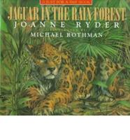 Jaguar in the Rain Forest