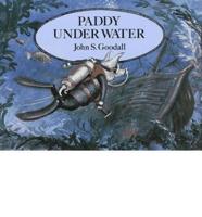 Paddy Under Water
