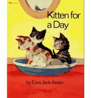 Kitten for a Day