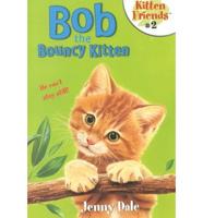 Bob the Bouncy Kitten