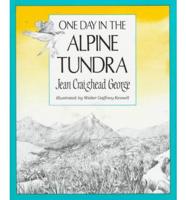 One Day in the Alpine Tundra