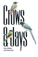 Crows and Jays