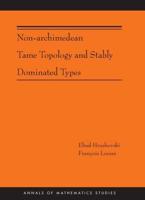 Non-Archimedean Tame Topology and Stably Dominated Types