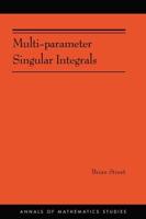 Multi-Parameter Singular Integrals