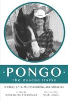 Pongo The Rescue Horse