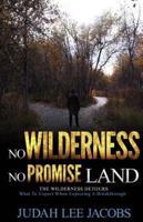 The Wilderness Detours