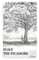 Scale the Sycamore