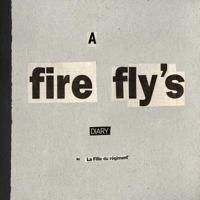 A Fire Fly's DIARY