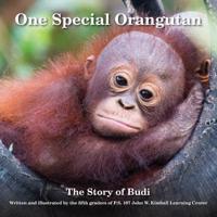 One Special Orangutan
