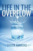 Life in the Overflow
