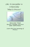 Like a Caterpillar to a Butterfly... What Is Process?
