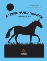 A Horse Named Thunder