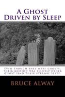 A Ghost Driven by Sleep