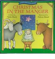 Christmas in the Manger