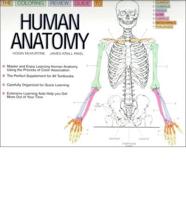 The Coloring Review Guide To Human Anatomy