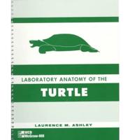 Lab Anatomy of The Turtle