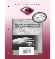Student Study Art Notebook, Hole's Human Anatomy and Physiology, 7th Ed