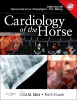 Cardiology of the Horse
