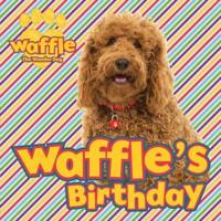 Waffle's Birthday