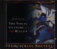 The Visual Culture of Wales Industrial Society