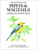 Pipits & Wagtails of Europe, Asia and North America