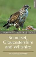 Where to Watch Birds in Somerset, Gloucestershire and Wiltshire