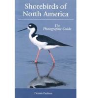 Shorebirds of North America