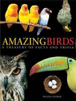 Amazing Birds