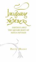 Imagining Numbers (Particularly the Square Root of Minus Fifteen)