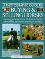 A Photographic Guide to Buying & Selling Horses