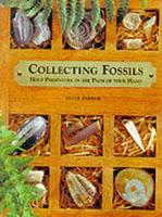 Collecting Fossils