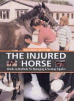 The Injured Horse