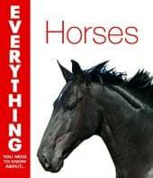 Everything You Need to Know About Horses