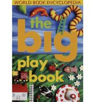 Big Play Book