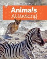 Animals Attacking