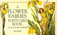 A Flower Fairies Postcard Book