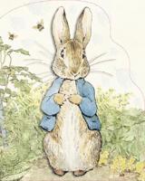 Peter Rabbit and His Exciting Adventures in Mr. Mcgregor's Garden