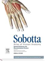 Sobotta Atlas of Human Anatomy, Vol.1, 15th Ed., English/Latin