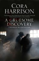 Gruesome Discovery, A: A mystery set in 1920s Ireland