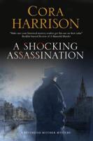 Shocking Assassination, A: A Reverend Mother mystery set in 1920s' Ireland
