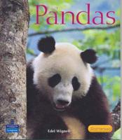 Pandas (Chatterbox )