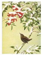 Bird on Berry Tree Half Notecards