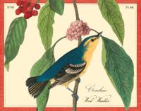 Audubon Warblers Keepsake Boxed Notecards