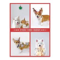 Festive Furry Friends Deluxe Notecard Collection