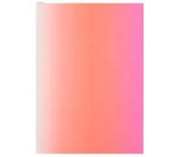 Christian Lacroix Neon Pink A6 6" X 4.25" Ombre Paseo Notebook