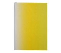 Christian Lacroix Neon Yellow A5 6" X 8" Ombre Paseo Notebook