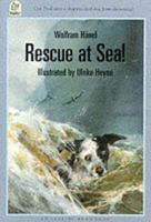 Rescue at Sea!